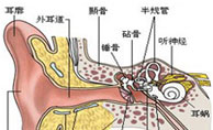 ǡѧѡ䡱⹺