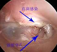 ����ʾ��ͼ